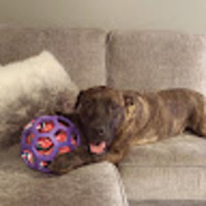 Meet your Posher, Dylan